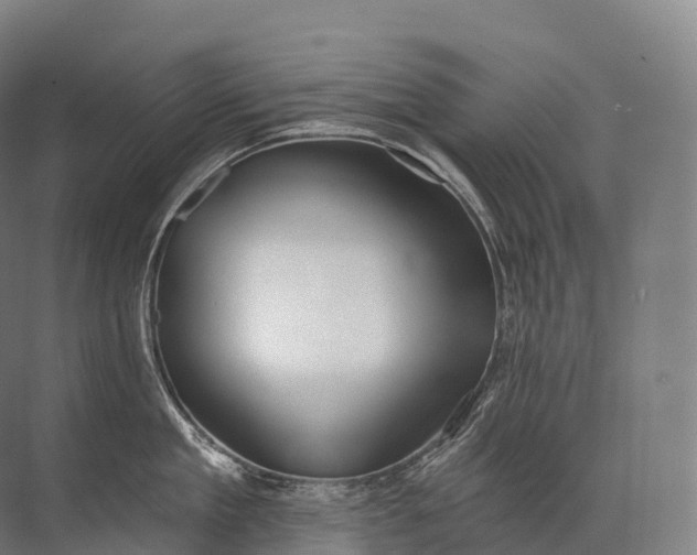 X0000072510909200607290129