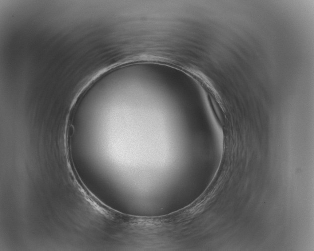 X0000072510910200607290129