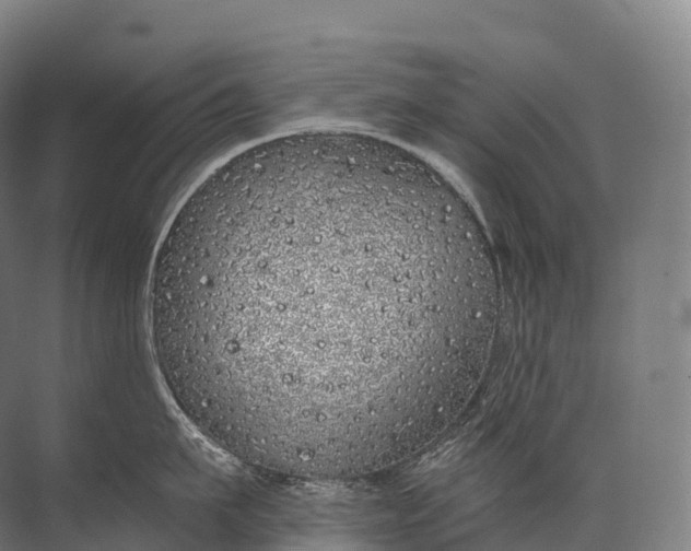 X0000072510911200607290129