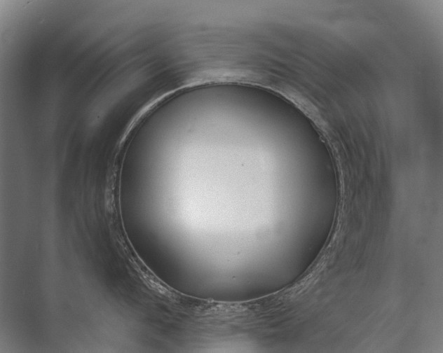 X0000072510912200607290129