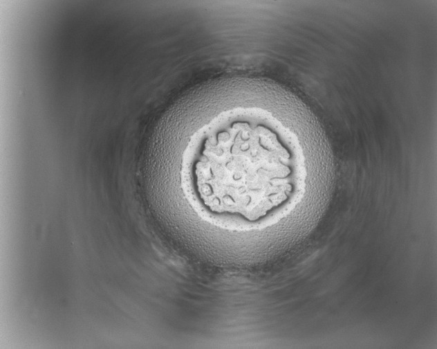 X0000072510913200607290128