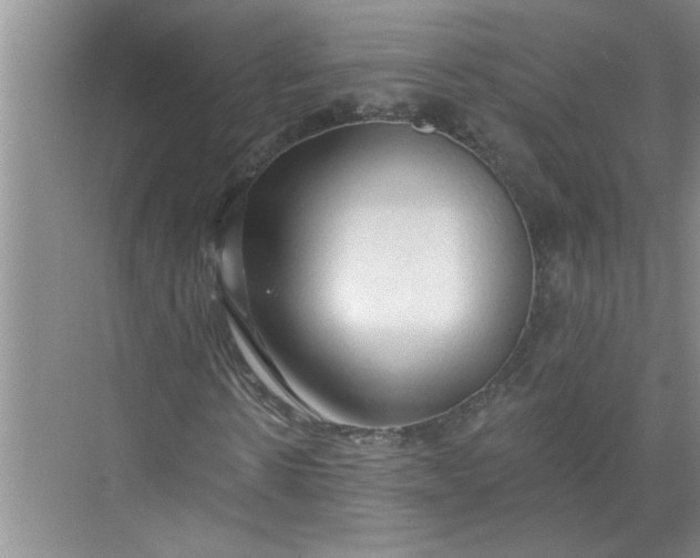 X0000072510914200607290128