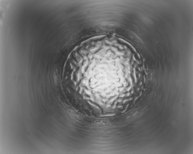 X0000072510915200607290128