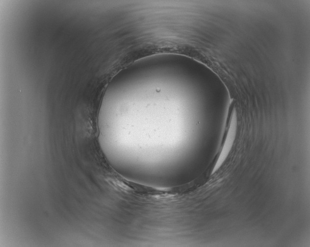 X0000072510916200607290128