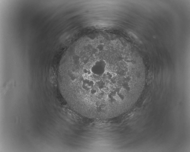 X0000072510917200607290128