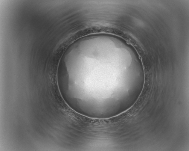 X0000072510919200607290128