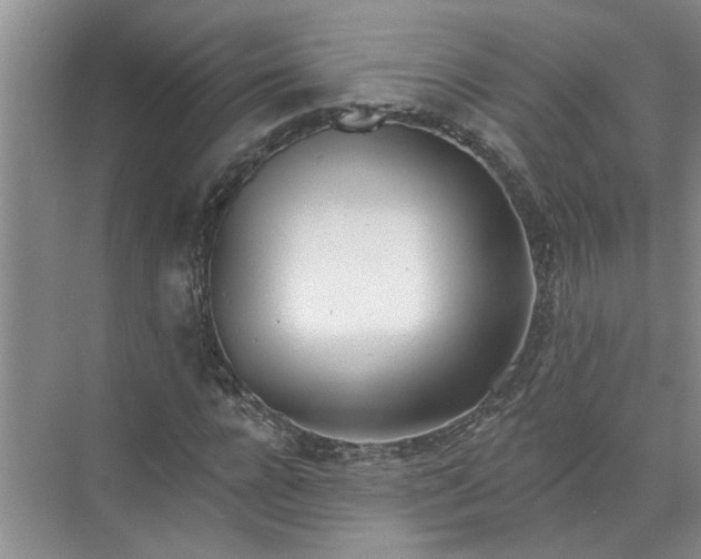 X0000072510920200607290128