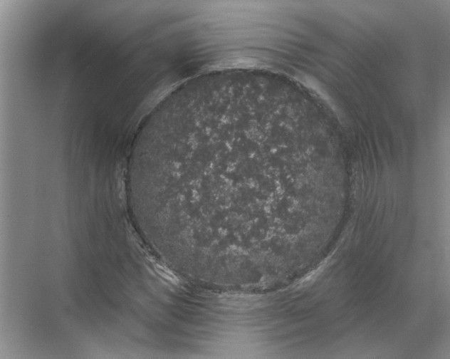 X0000072510921200607290128