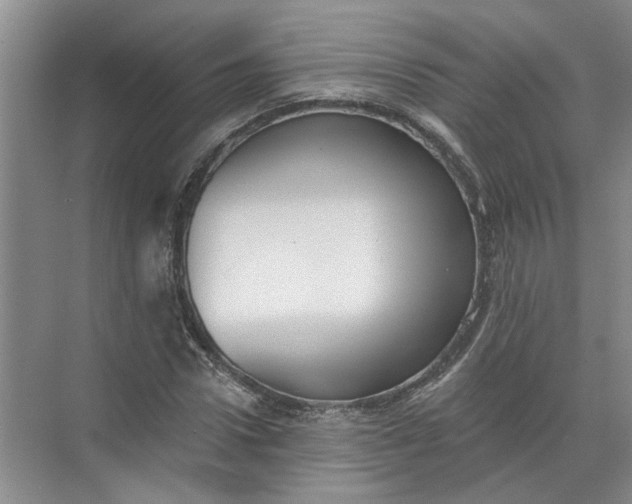 X0000072510922200607290128