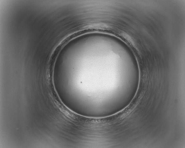 X0000072510923200607290128