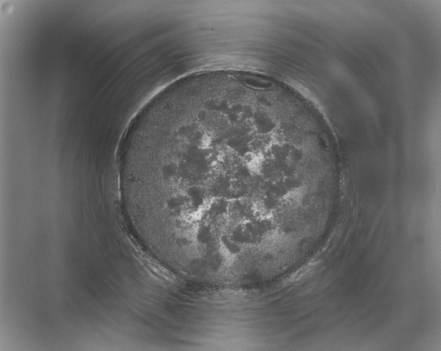 X0000072510925200607290128