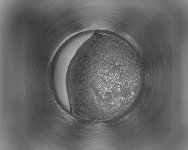 X0000072510926200607290128