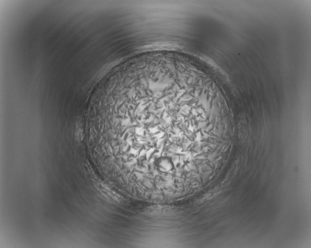 X0000072510929200607290128