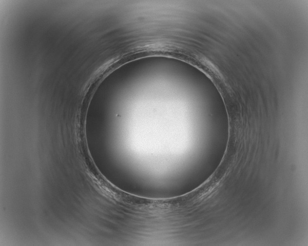 X0000072510930200607290128