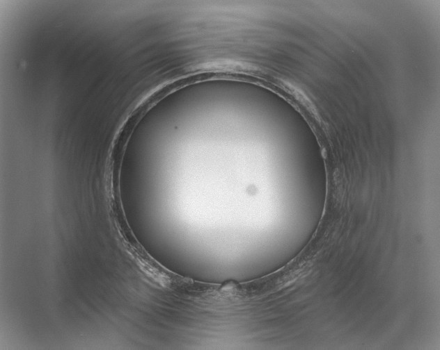 X0000072510931200607290128