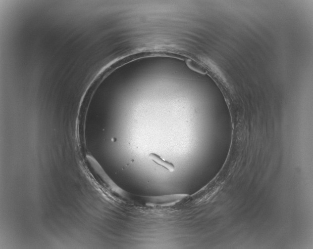 X0000072510932200607290128