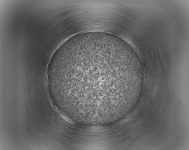 X0000072510933200607290128