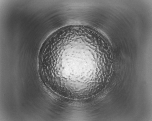 X0000072510935200607290129