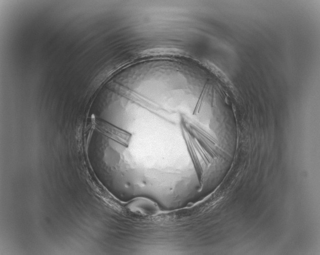 X0000072510937200607290129