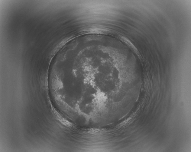 X0000072510938200607290129