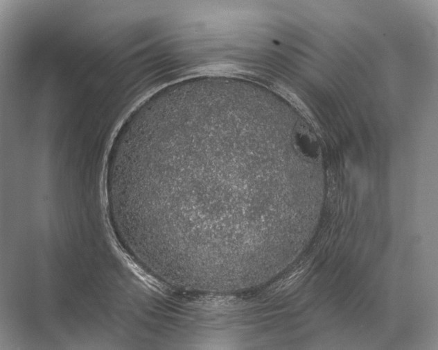 X0000072510939200607290129