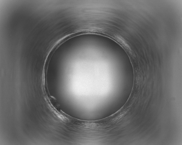 X0000072510940200607290129