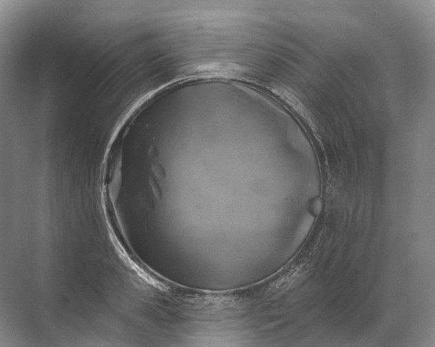 X0000072510941200607290129