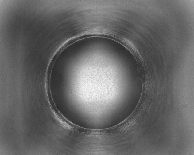 X0000072510942200607290129