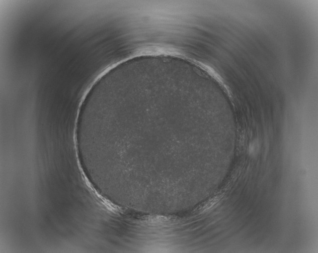 X0000072510943200607290129