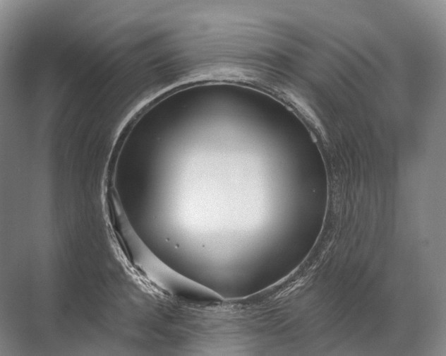 X0000072510944200607290129