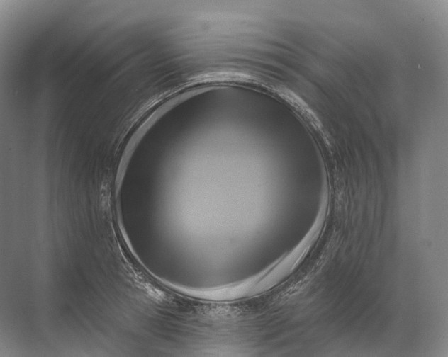 X0000072510945200607290129