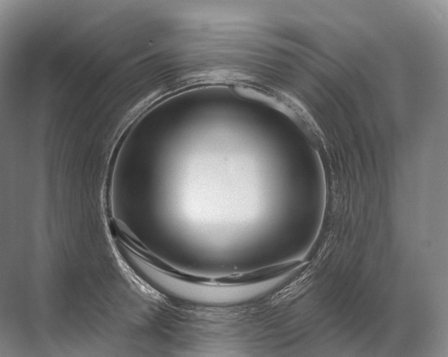 X0000072510946200607290129