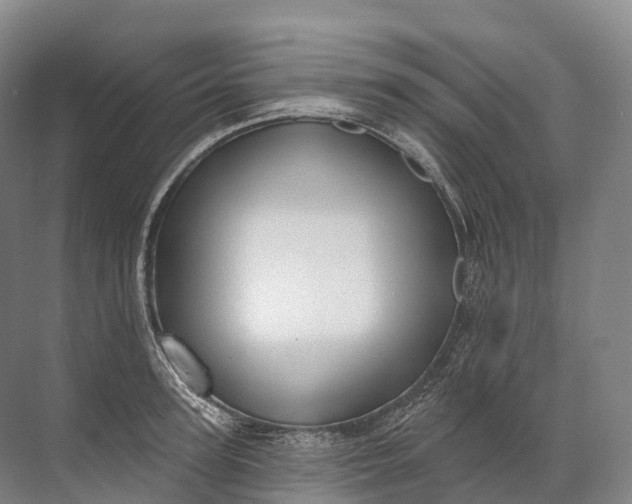 X0000072510947200607290129