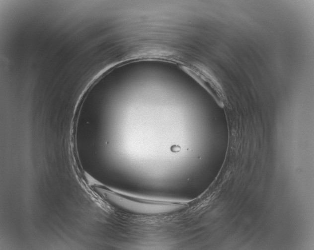 X0000072510948200607290129