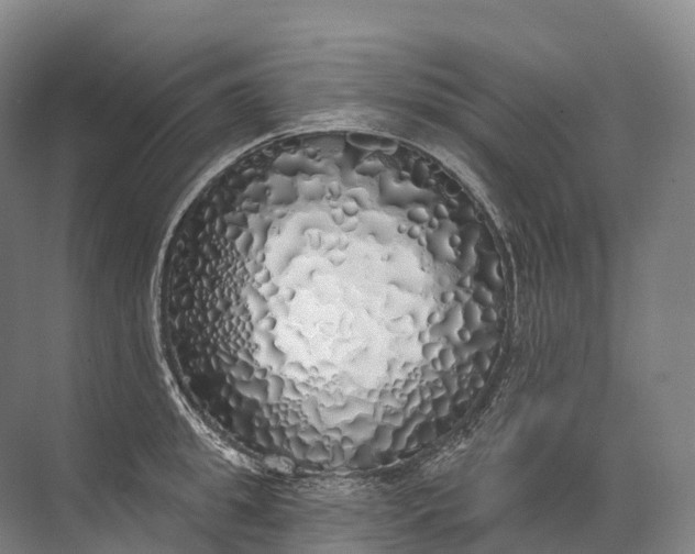 X0000072510949200607290129