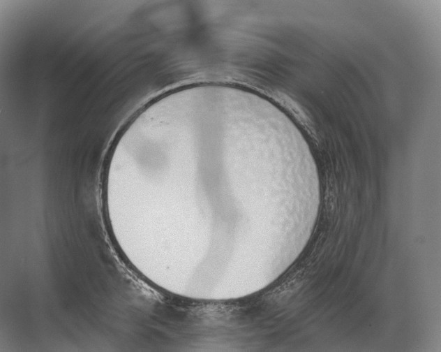 X0000072510950200607290129