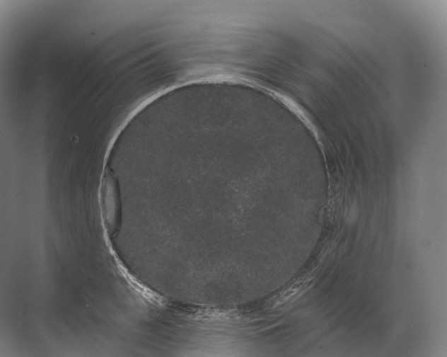 X0000072510951200607290129