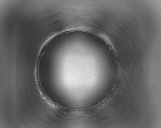 X0000072510952200607290129