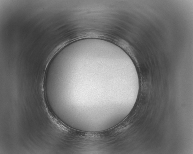 X0000072510954200607290129