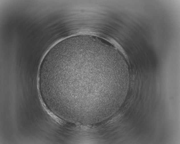 X0000072510955200607290129