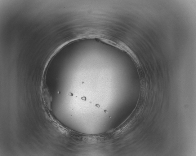 X0000072510956200607290129