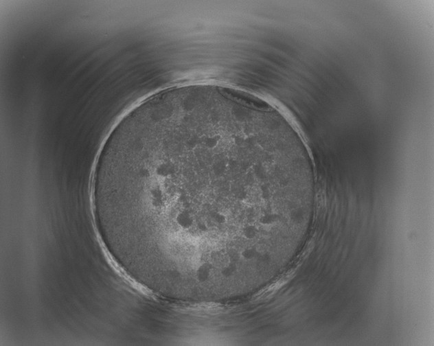 X0000072510957200607290129