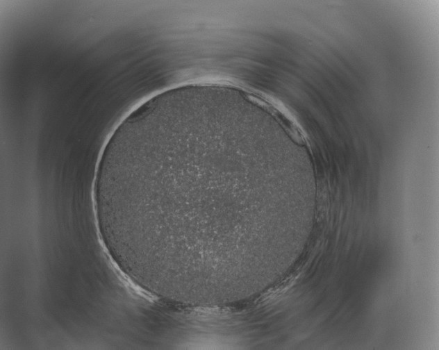 X0000072510959200607290129