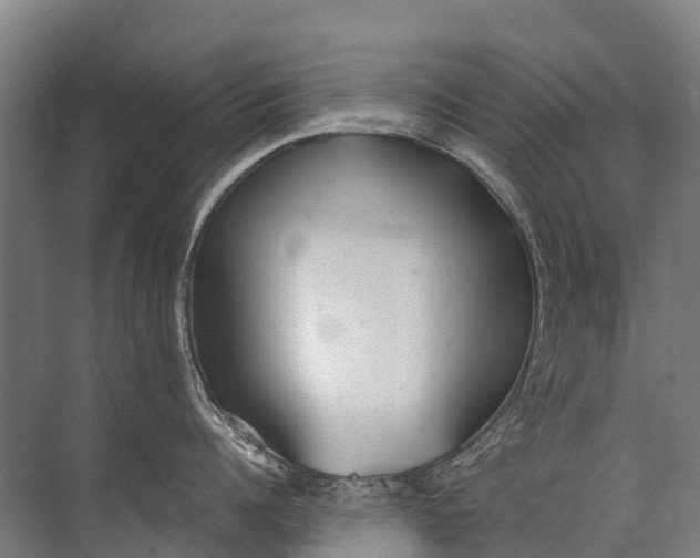 X0000072510960200607290129