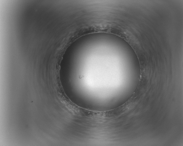 X0000072510961200607290128