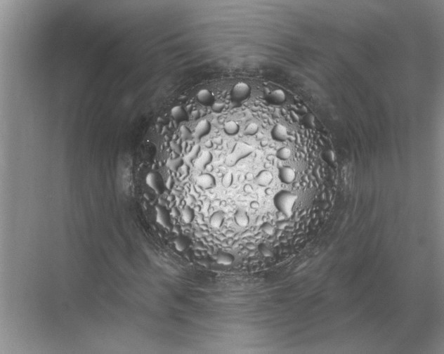 X0000072510963200607290128