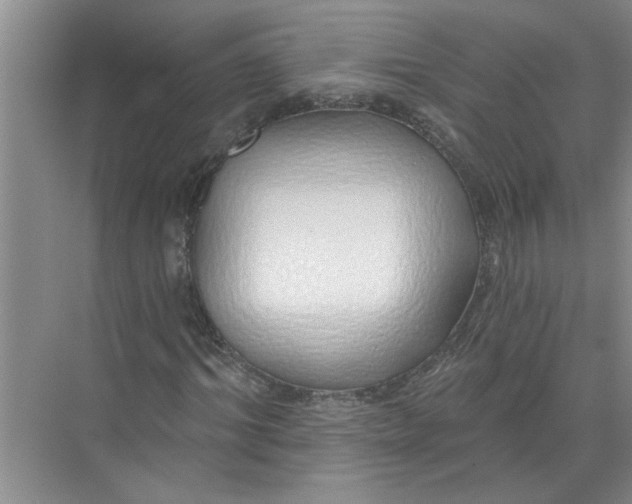 X0000072510964200607290128