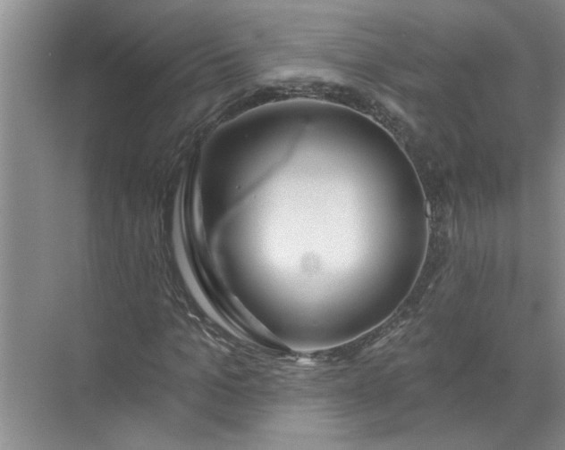 X0000072510965200607290128