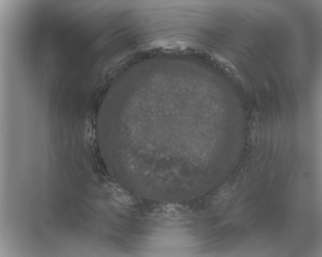 X0000072510966200607290128