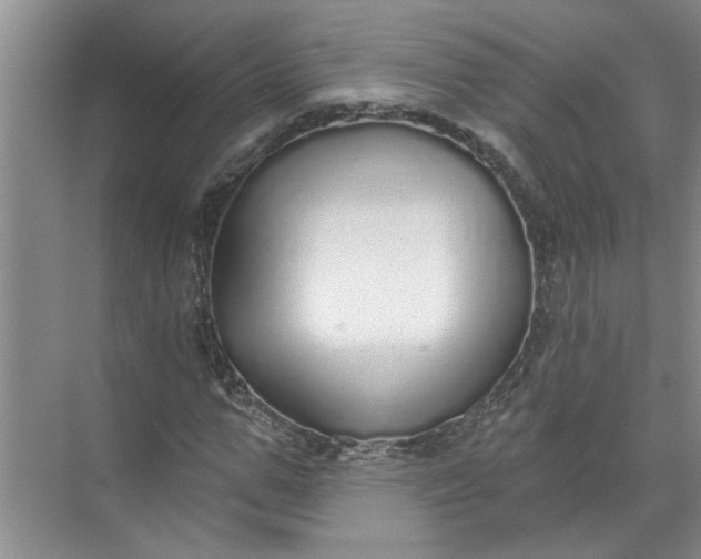 X0000072510967200607290128